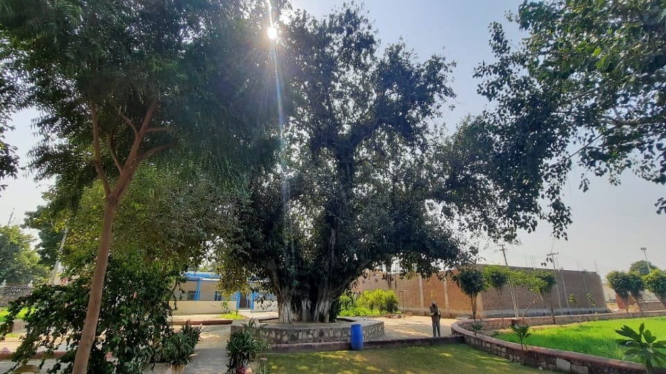 Guru Teg Bahadur stayed for nine days in Gurdwara Guru ka Taal