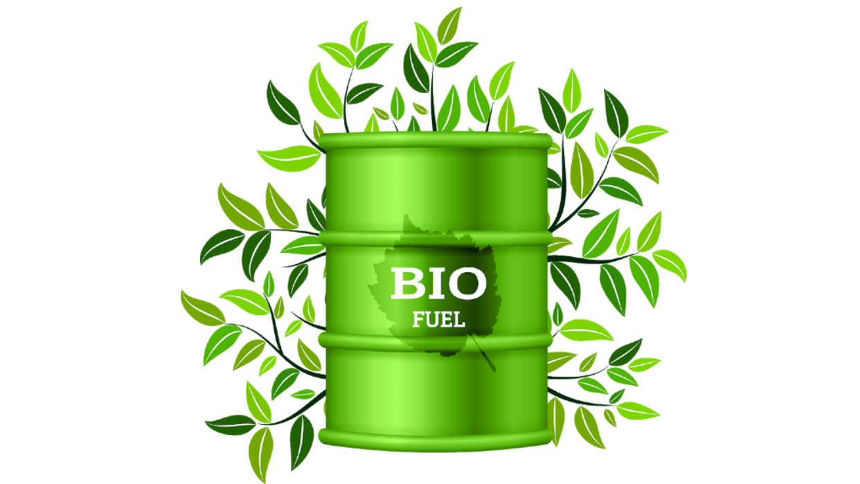Union minister told from when special bio fuel vehicles will run in the country