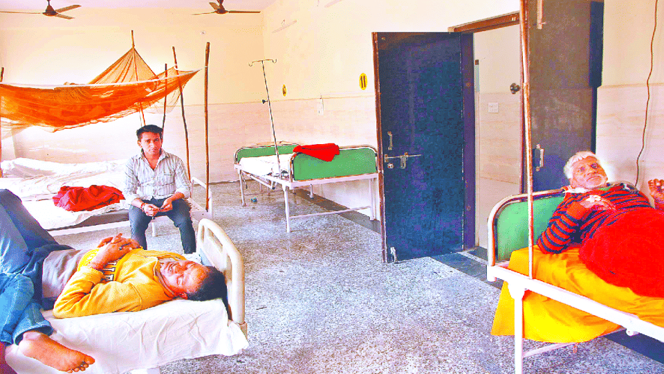 six dengue patients reported in agra