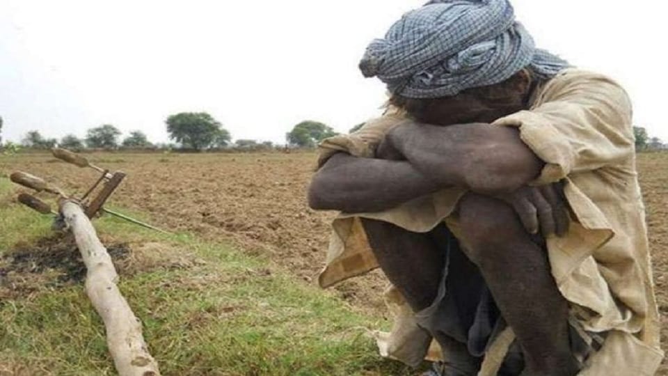 Maharashtra Excessive rainfall-affected farmers upset over getting paltry amounts as crop insurance