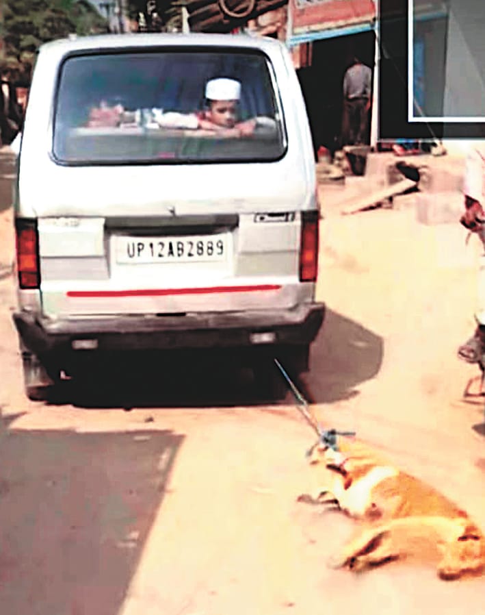 Video of dog being tied and dragged behind a car goes viral