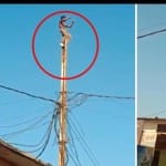 शराब के लिए खंभे पर चढ़े युवक को मशक्कत के बाद उतारा जा सका।