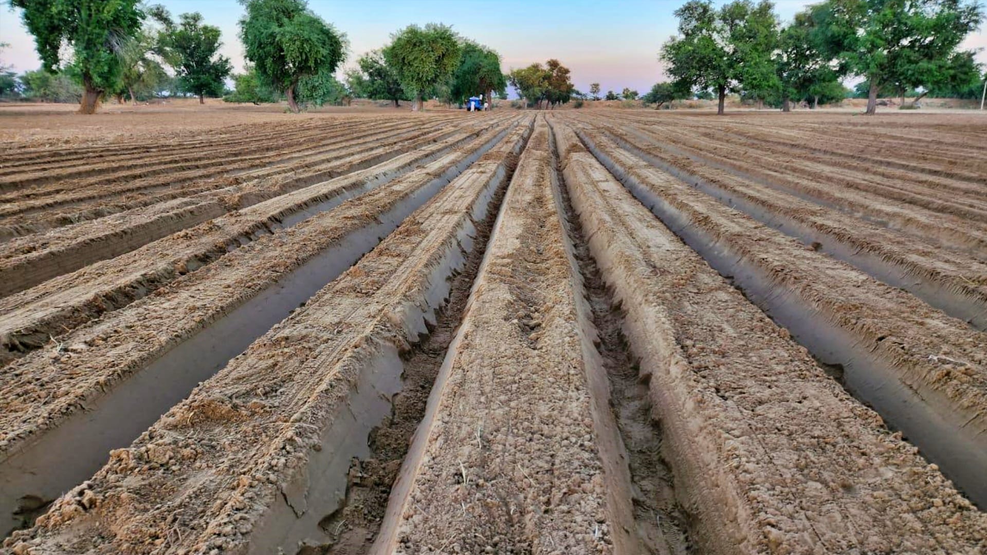 Big deal with multinational food company potato farming first time in bamer will make farmers rich