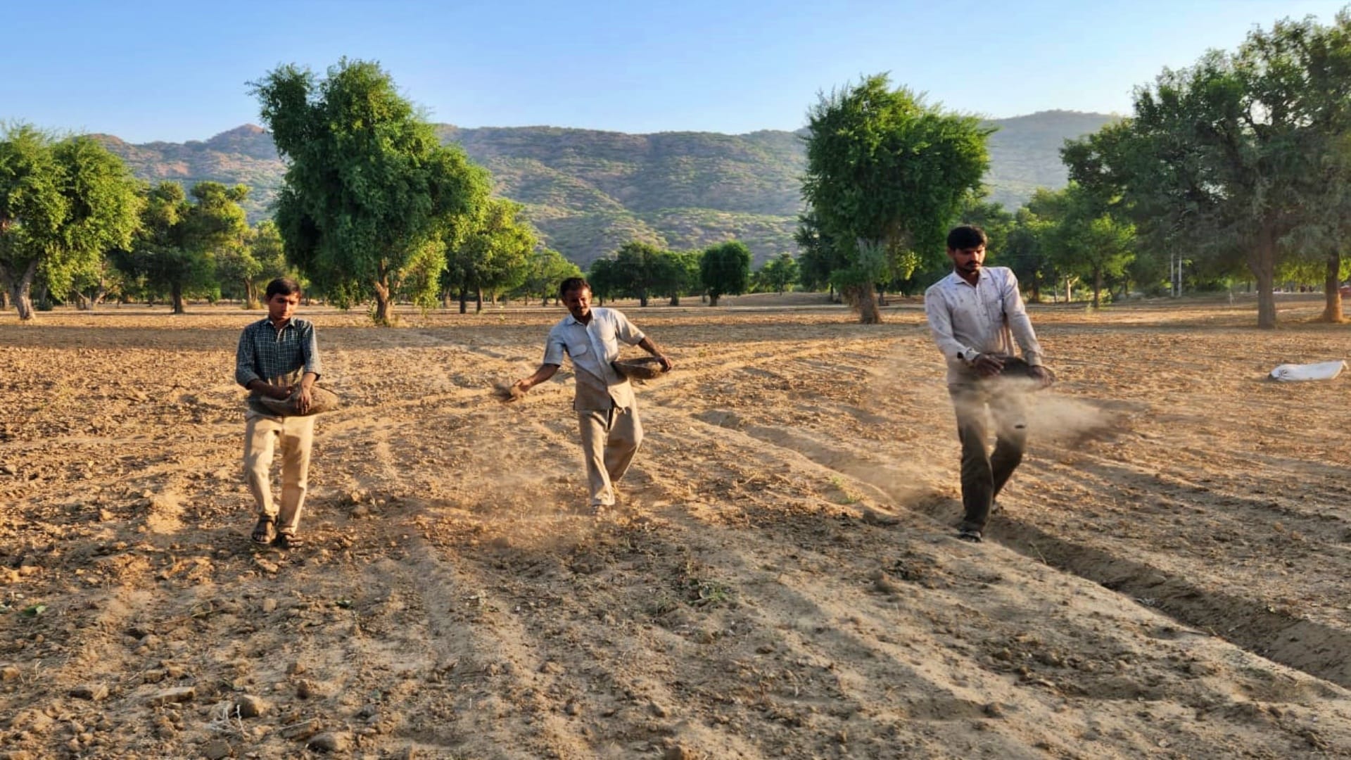 Big deal with multinational food company potato farming first time in bamer will make farmers rich