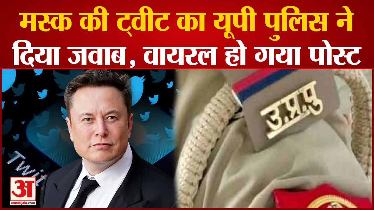 एलन मस्क