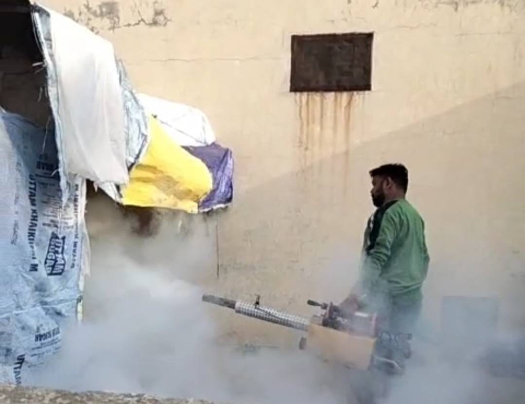 Four dengue victims, including 13-year-old girl, found