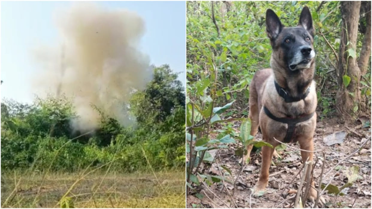 security forces 20 kg IED found in container during joint search operation