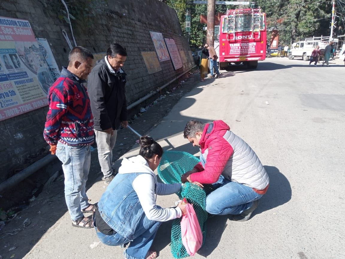 50 dogs vaccination in juery