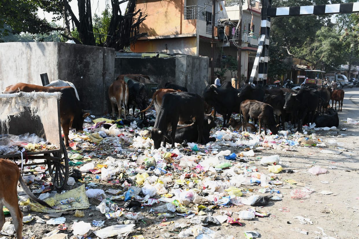 Garbage not picked up even after four days