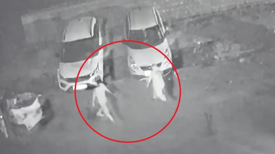 delhi Police arrested mother and son in Pandav Nagar murder case