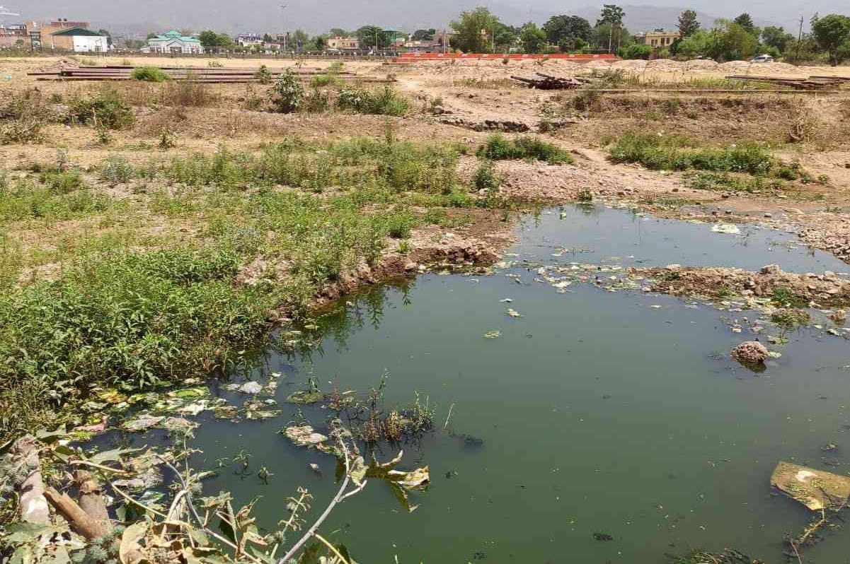 Sewage flowing in the open in Barotiwala, fear of spreading diseases