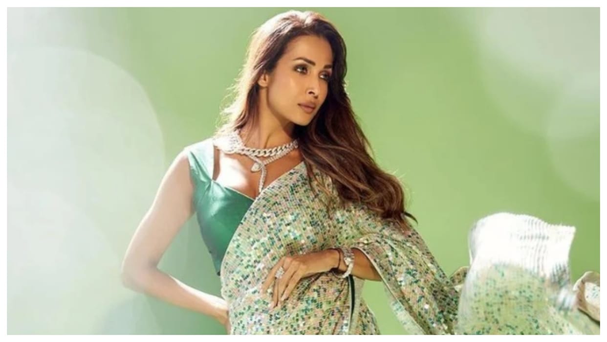 Malaika Arora Meet PM Narendra Modi Lookalike video Goes viral on social media