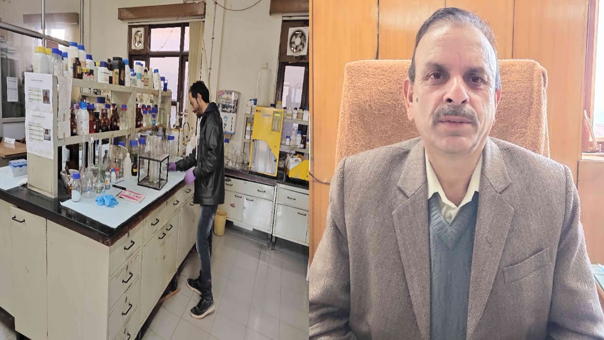 White sauce powder will be made from mushroom, will be helpful in fighting cancer