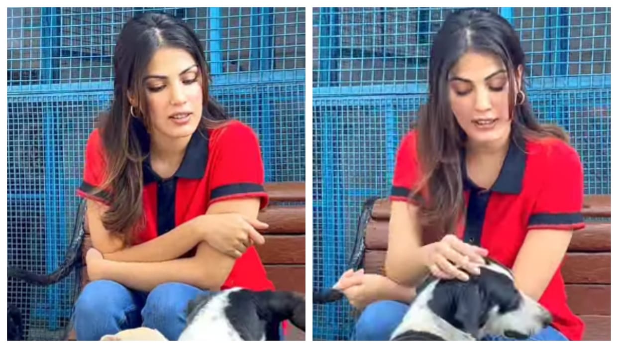 Rhea Chakraborty Attends a food donation drive for stray Dogs but Gets trolls For this reason