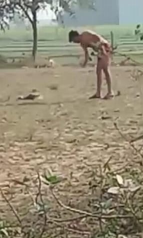 Bitten the child then crushed the puppy with a brick, video viral
