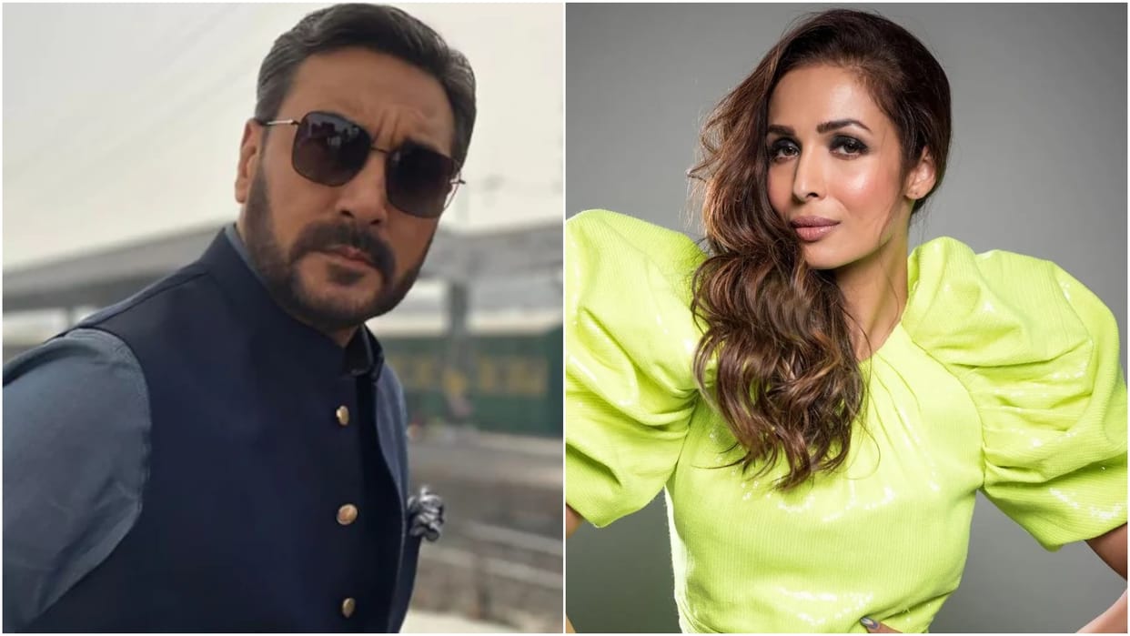 Pakistani Actor Adnan Siddiqui slams Malaika Arora for aap jaisa koi song remix said Talent is necessary