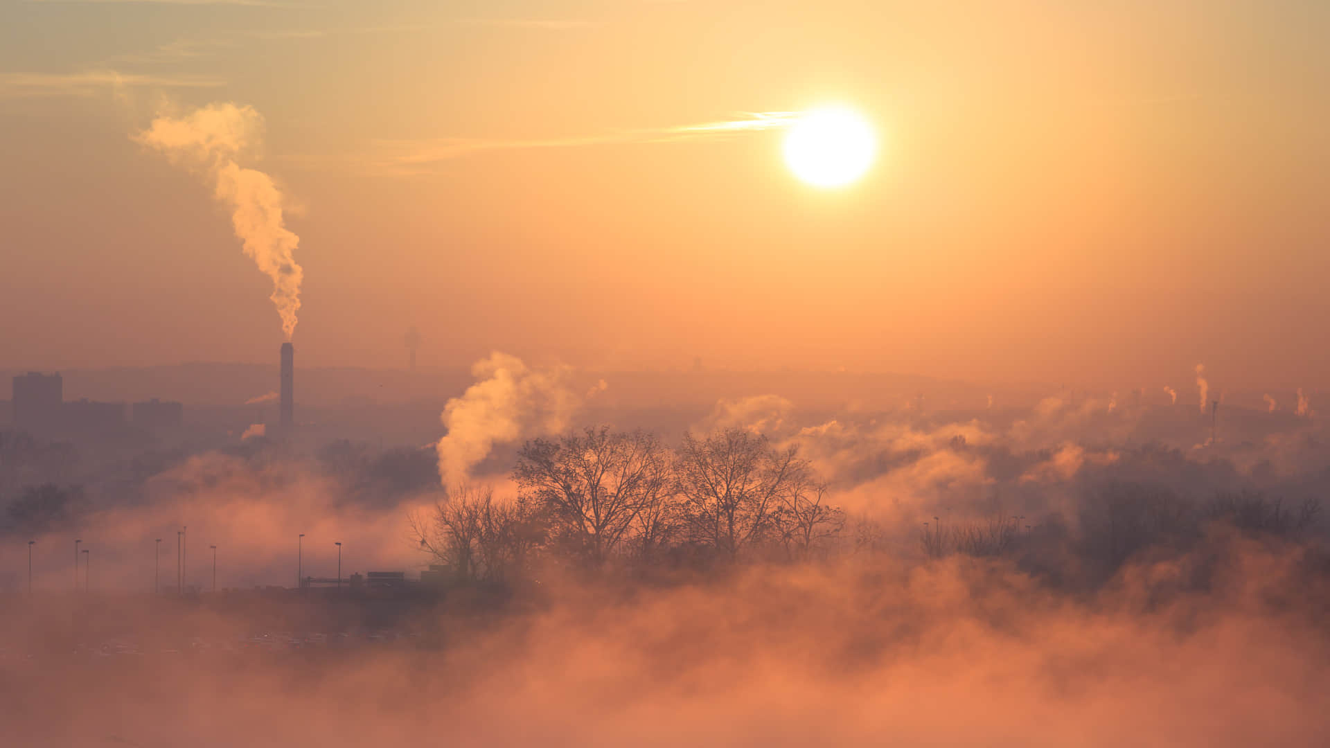 Sixth Mass Extinction Caused Due to Climate Change Know Predictions and Research from Scientists