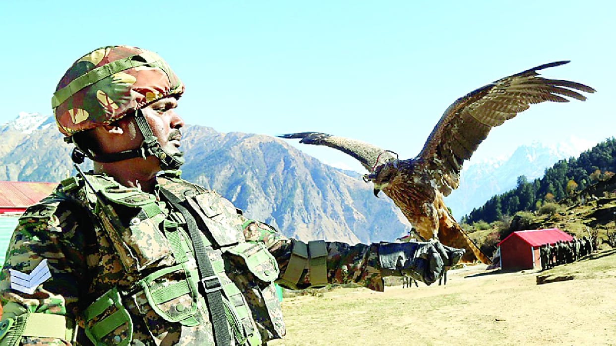 army trained eagle Now Arjun will hunt Pakistani drone