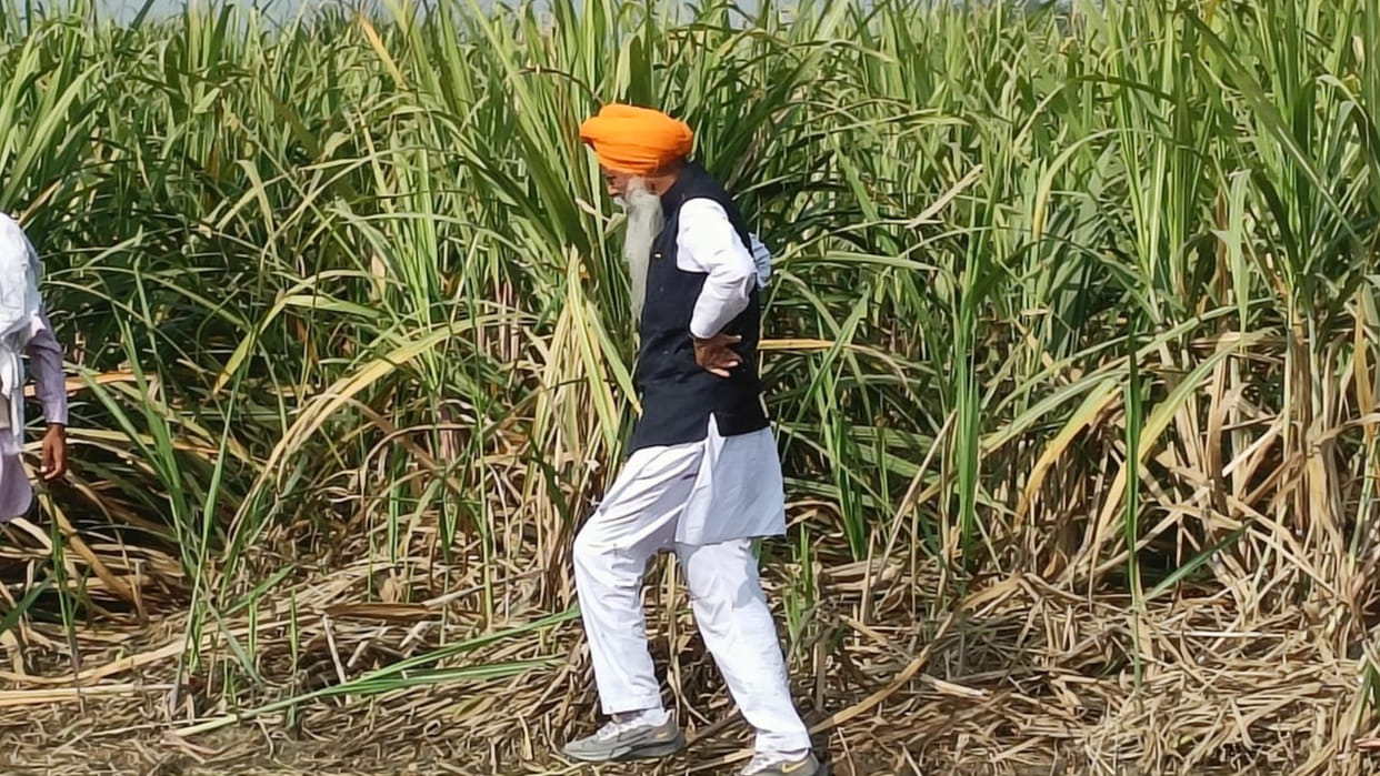 Farmers warn of agitation if the rate of sugarcane is not increased in Haryana