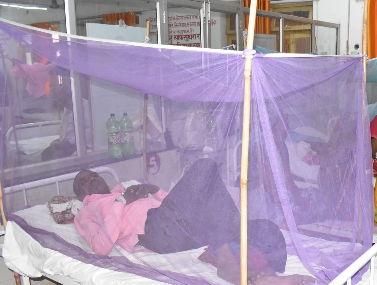 Dengue confirmed in eight more people