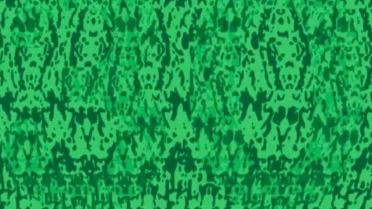 Viral optical illusion Brain Test find hidden number in photo within 10 seconds brain teaser picture puzzle