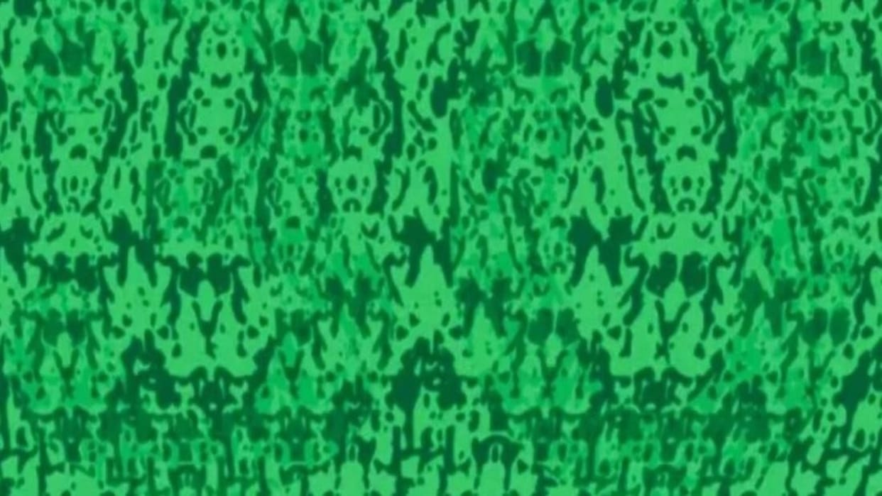 Viral optical illusion Brain Test find hidden number in photo within 10 seconds brain teaser picture puzzle