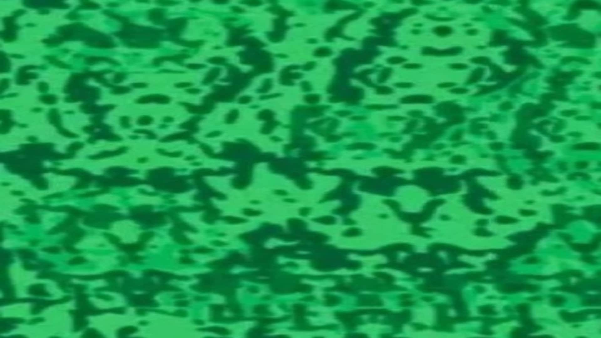 Viral optical illusion Brain Test find hidden number in photo within 10 seconds brain teaser picture puzzle