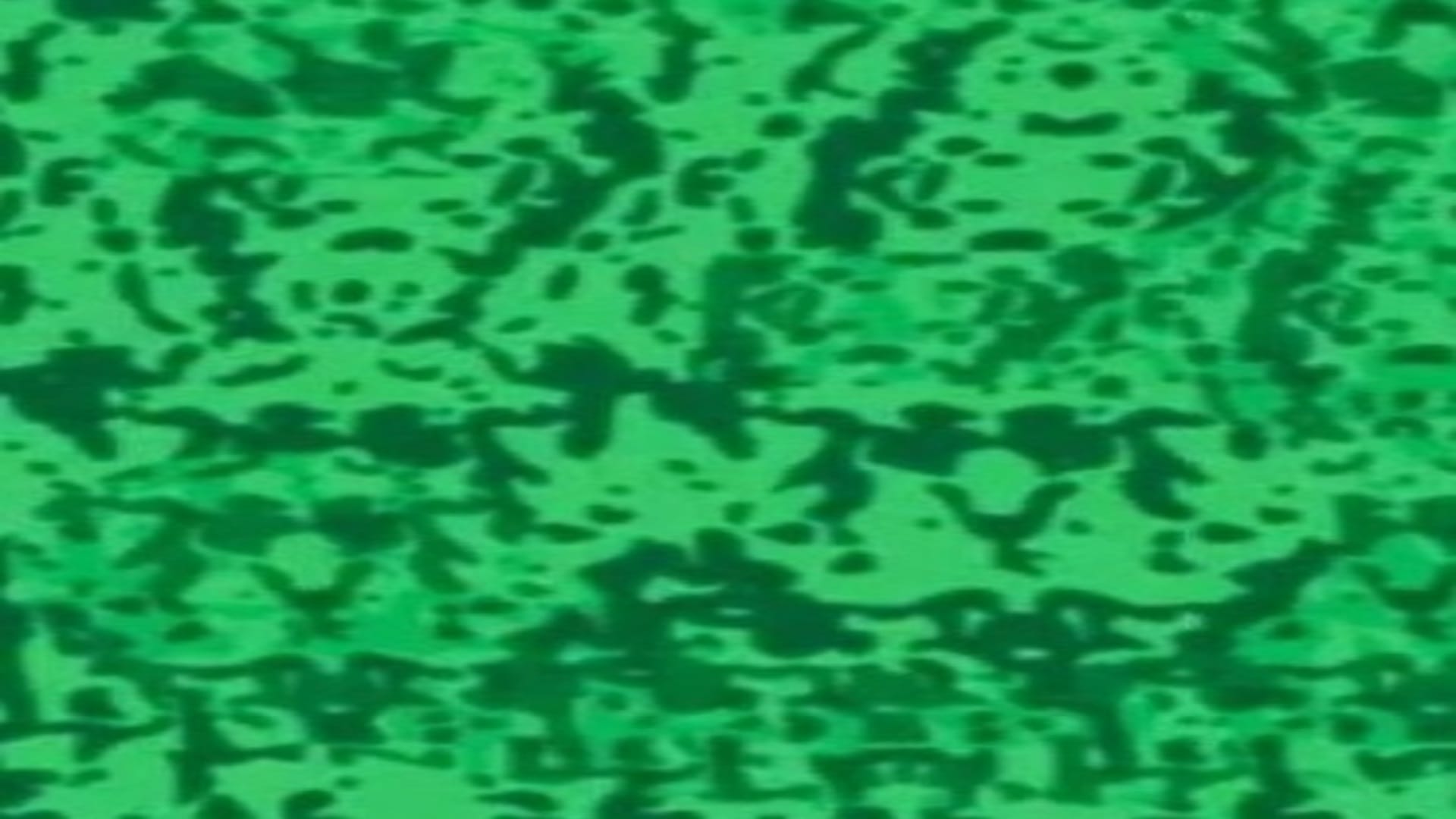 Viral optical illusion Brain Test find hidden number in photo within 10 seconds brain teaser picture puzzle