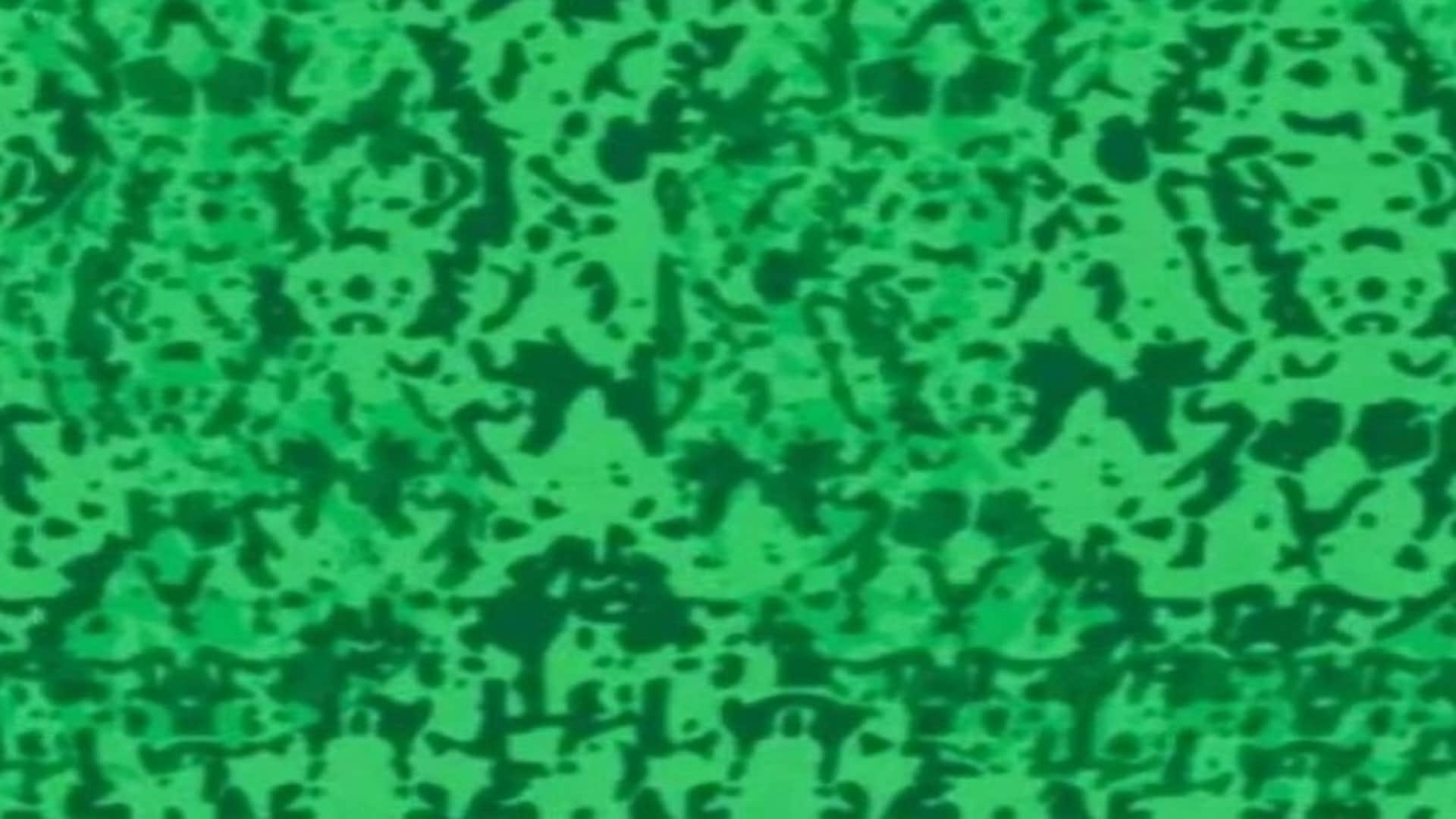 Viral optical illusion Brain Test find hidden number in photo within 10 seconds brain teaser picture puzzle