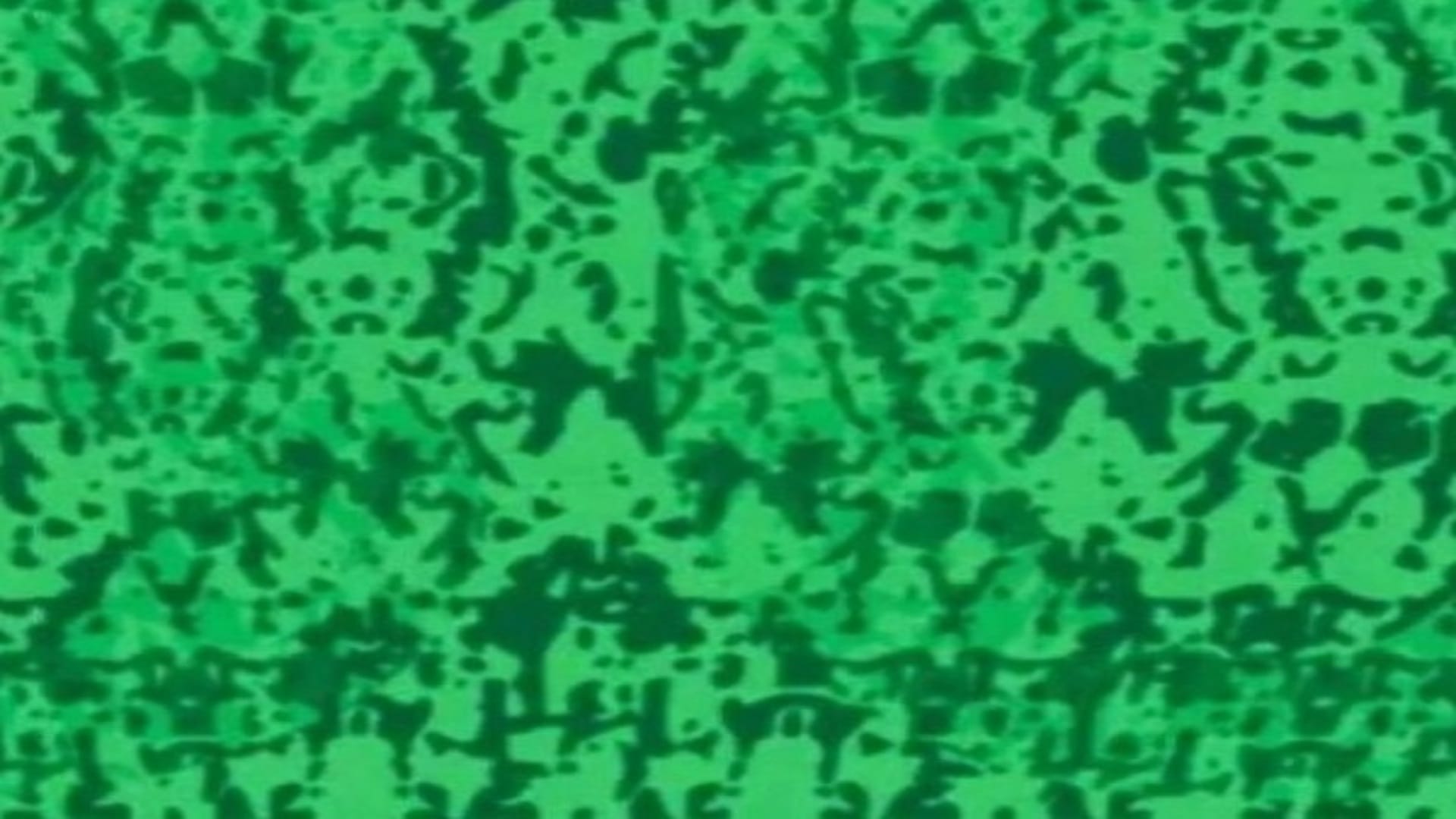 Viral optical illusion Brain Test find hidden number in photo within 10 seconds brain teaser picture puzzle