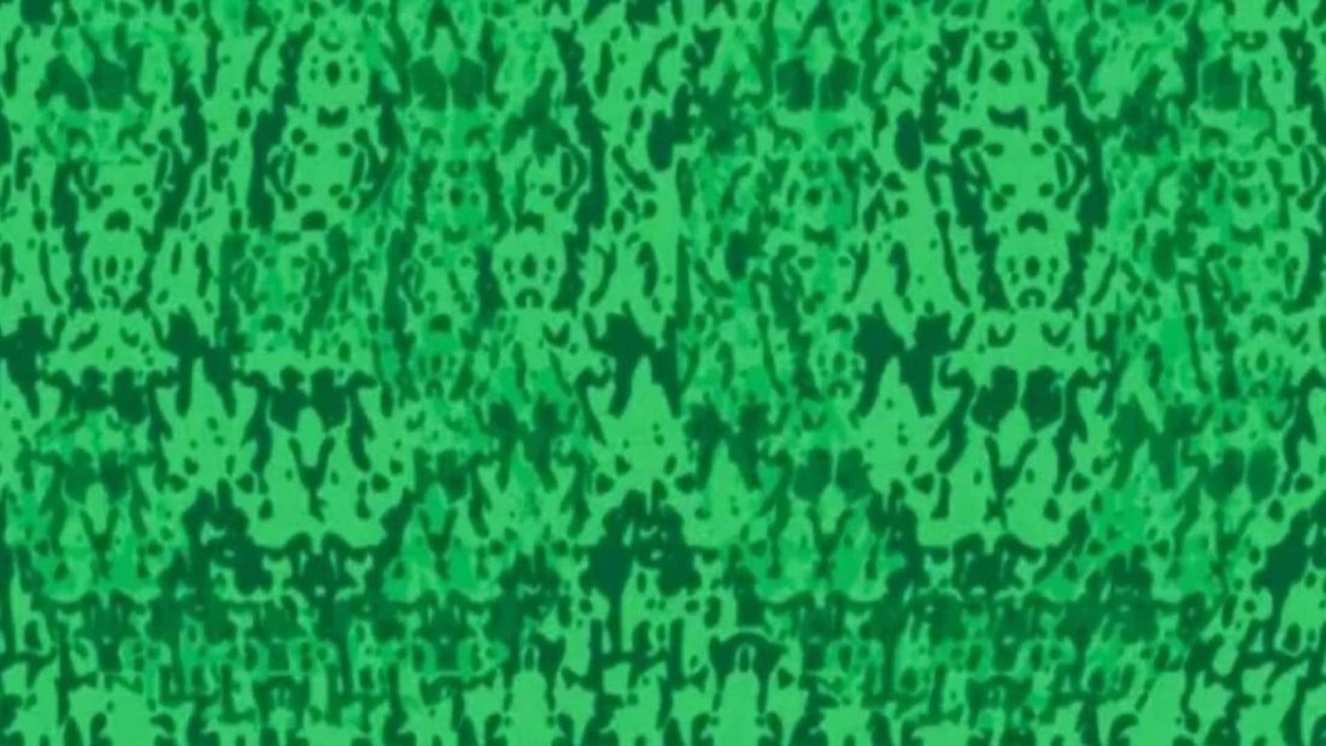 Viral optical illusion Brain Test find hidden number in photo within 10 seconds brain teaser picture puzzle