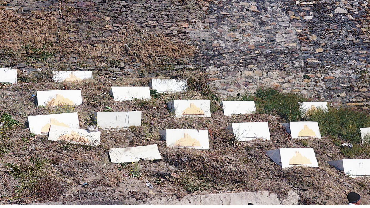 Shimla: Suspicion of scam in the project of plantation in city