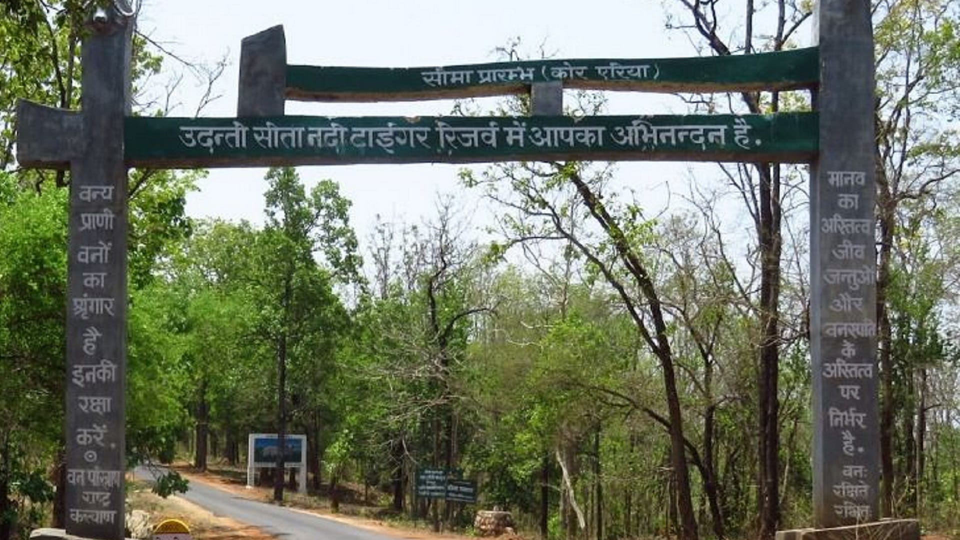tiger seen many years in chhattisgarh udanti sitanadi tiger reserve