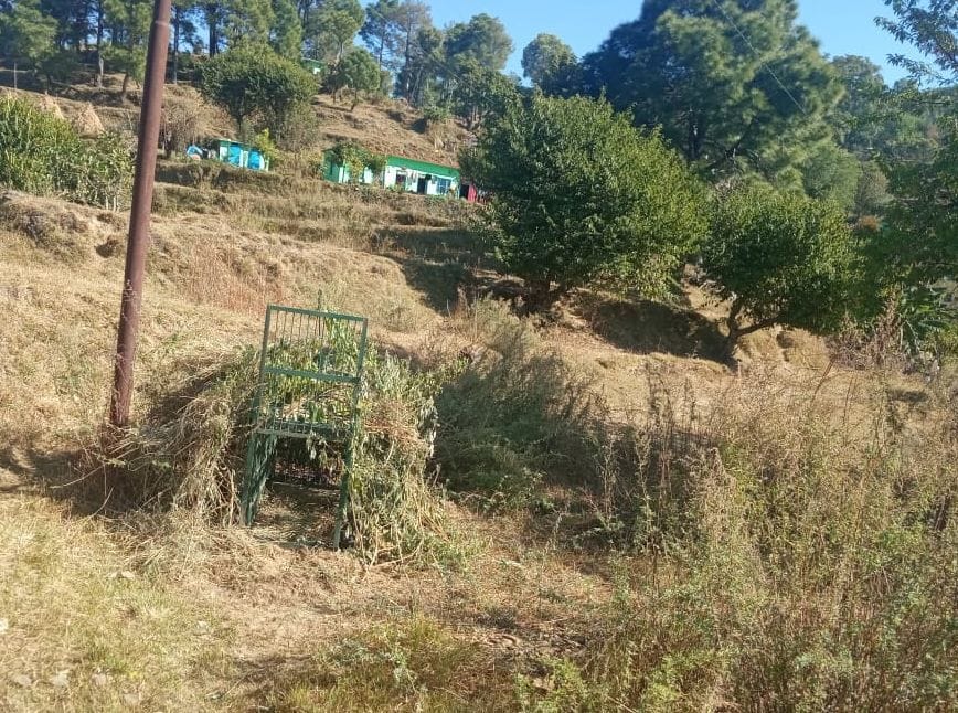 Almora News: Leopard Declared Man Eater In Daina village