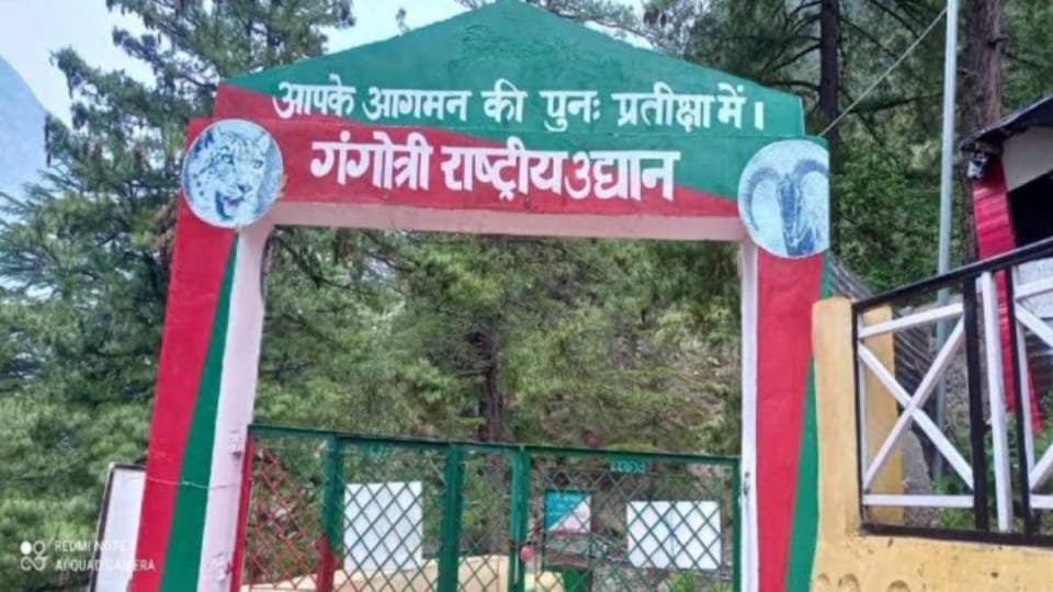 Gangotri National Park Gates opened Uttarkashi Uttarakhand News in hindi