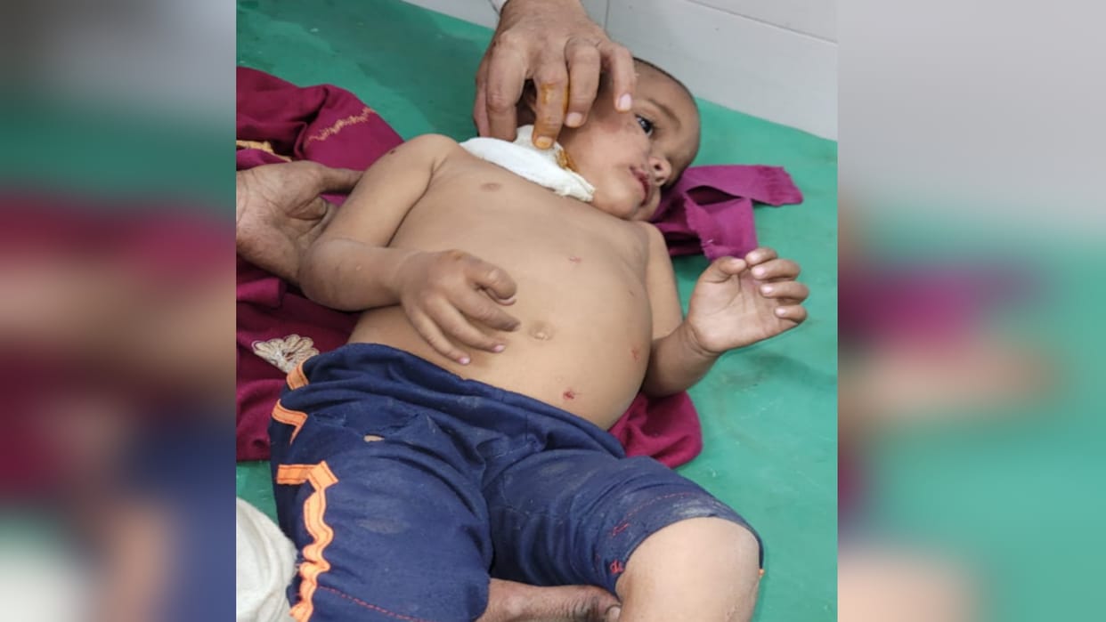 BIJNOR: Guldar took away the innocent, the mother kept running behind, the villagers rescued the girl