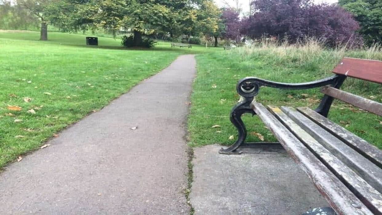 Viral optical illusion Brain Test find Dog in photo hidden within 11 seconds brain teaser picture puzzle