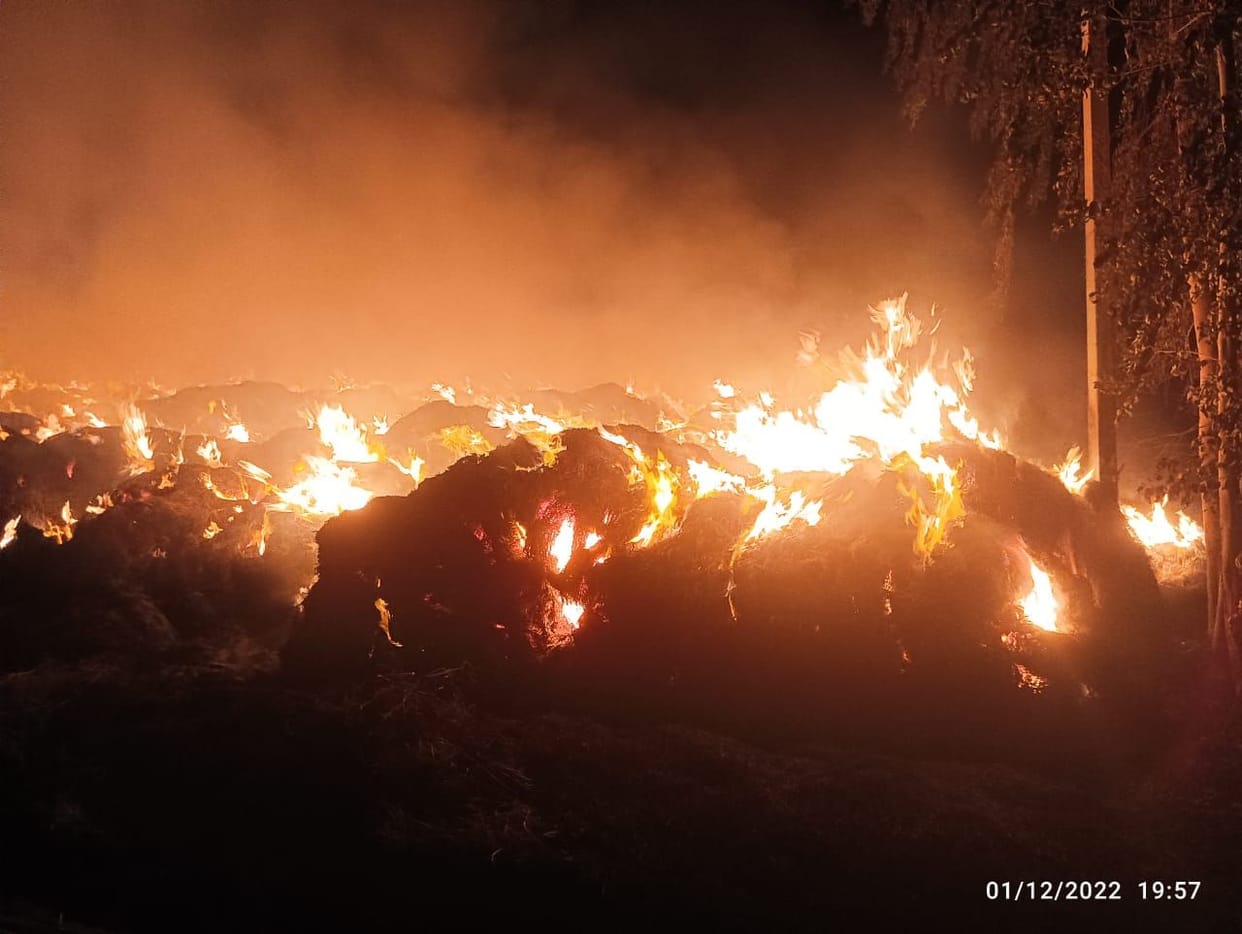 150 acres of paddy straw caught fire near Dhanana, flames raged for two hours
