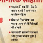 ग्राफिक्स