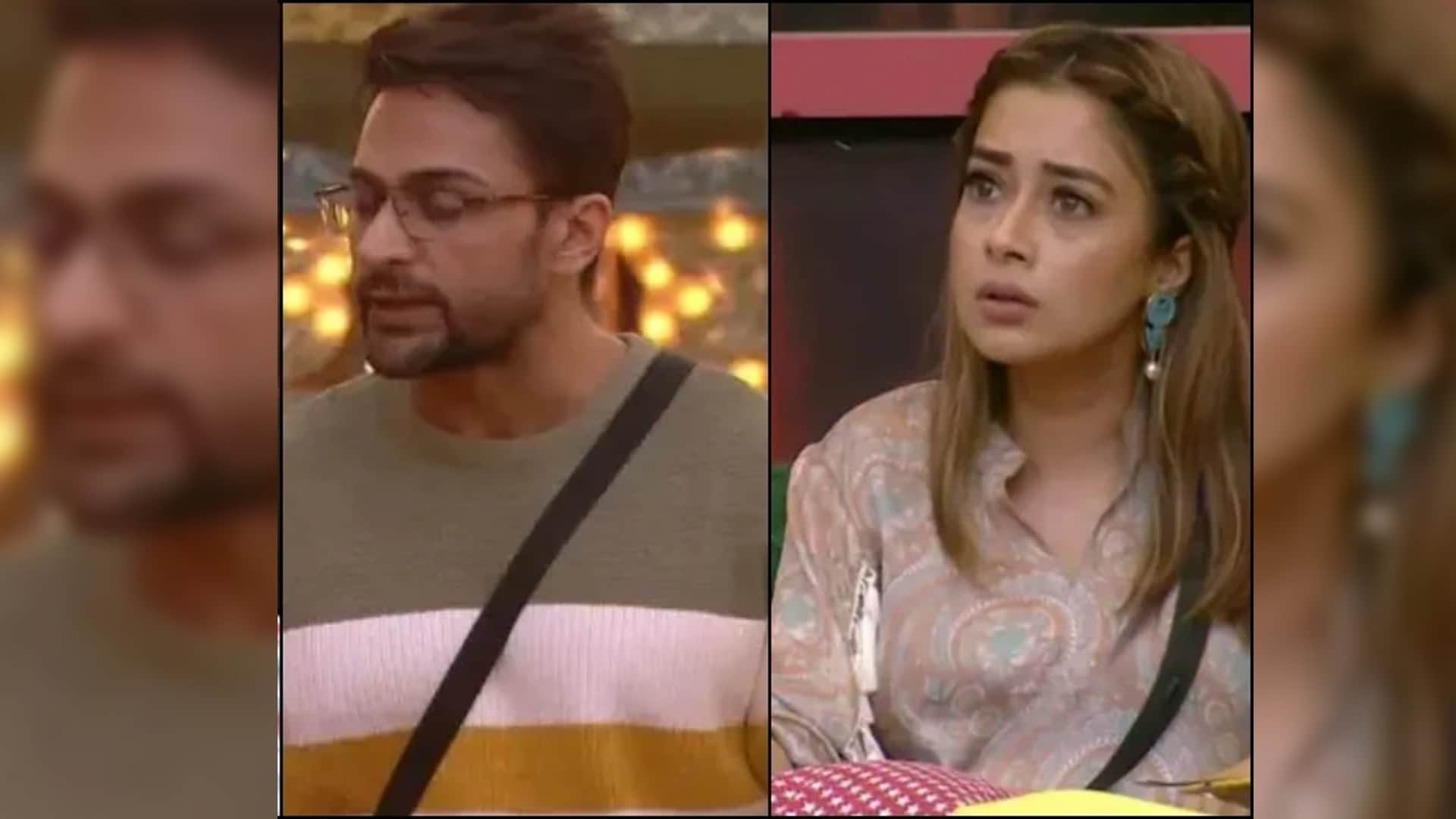 Bigg Boss 16: will tina dutta shalin bhanot relationship broken from audience questions