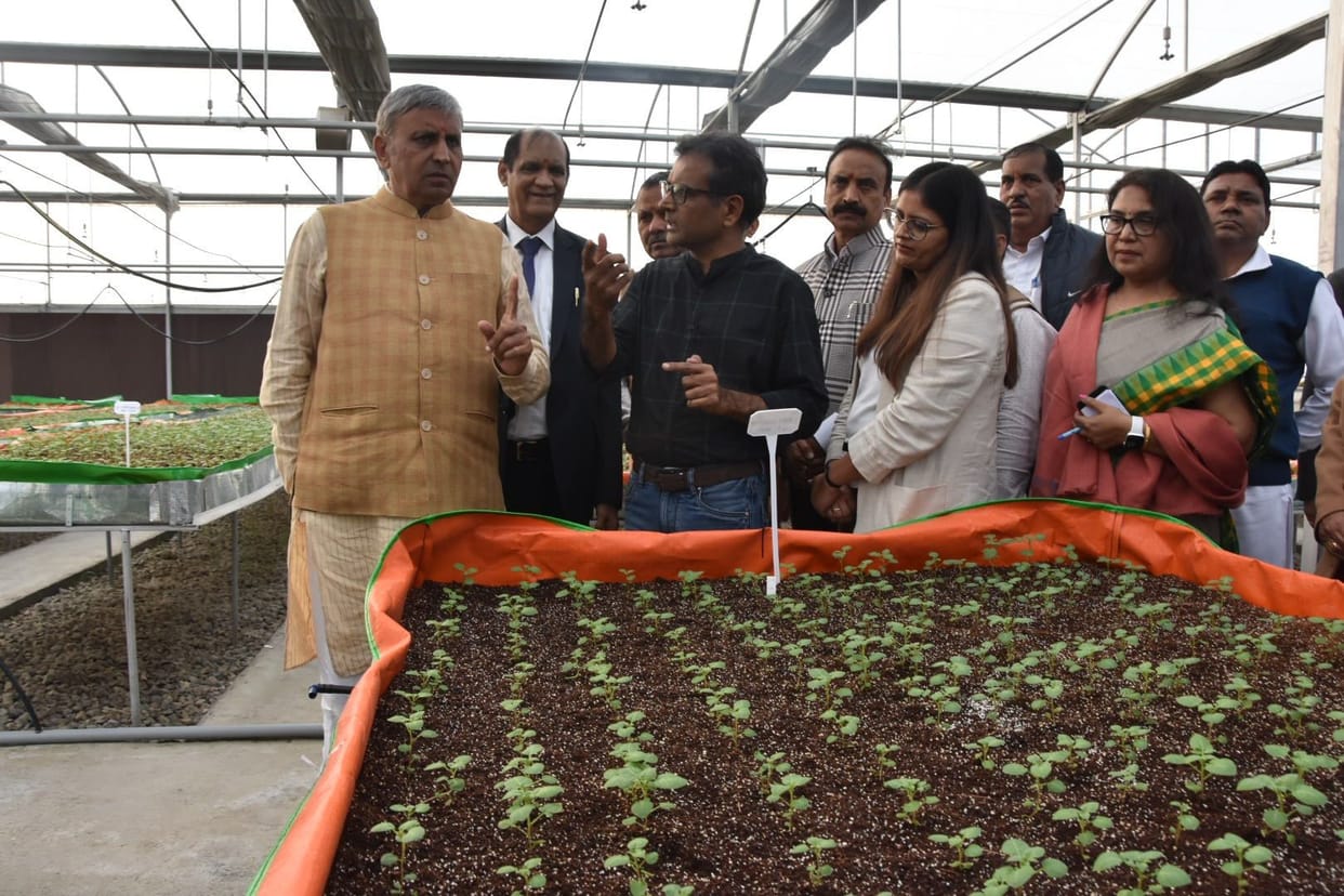 Future of Haryana farmers in horticulture: JP Dalal