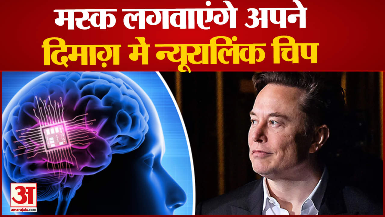 एलन मस्क