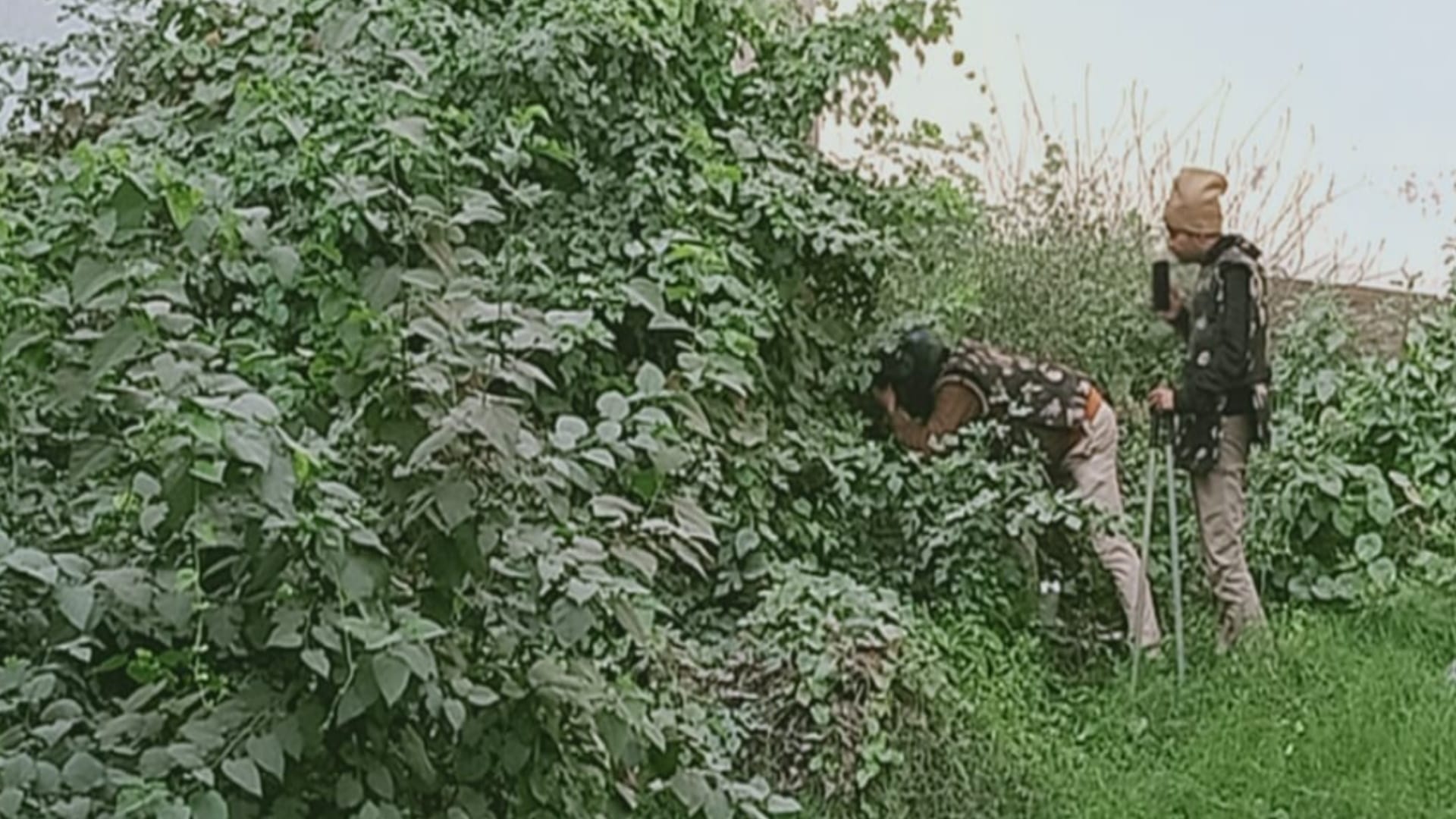 Leopard in Meerut city, forest department team engaged in search
