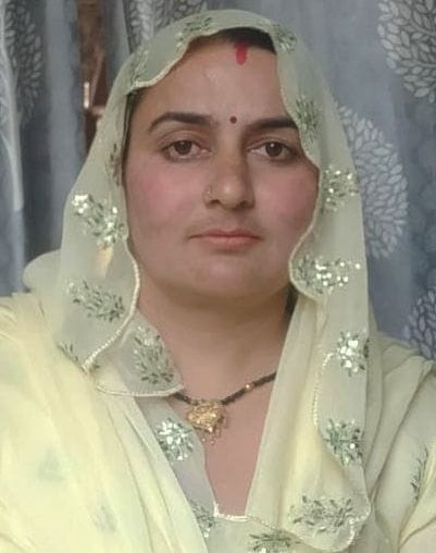 On the lines of the cabinet, the sarpanch did the distribution of departments among the panchs in village Jui.