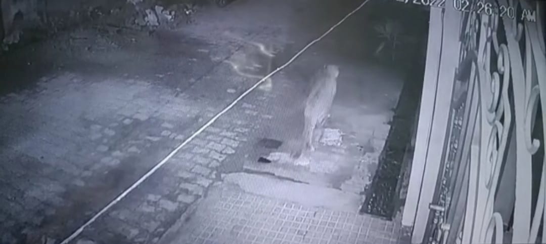 In Meerut landlord was checking  CCTV after waking up  suddenly he saw a leopard