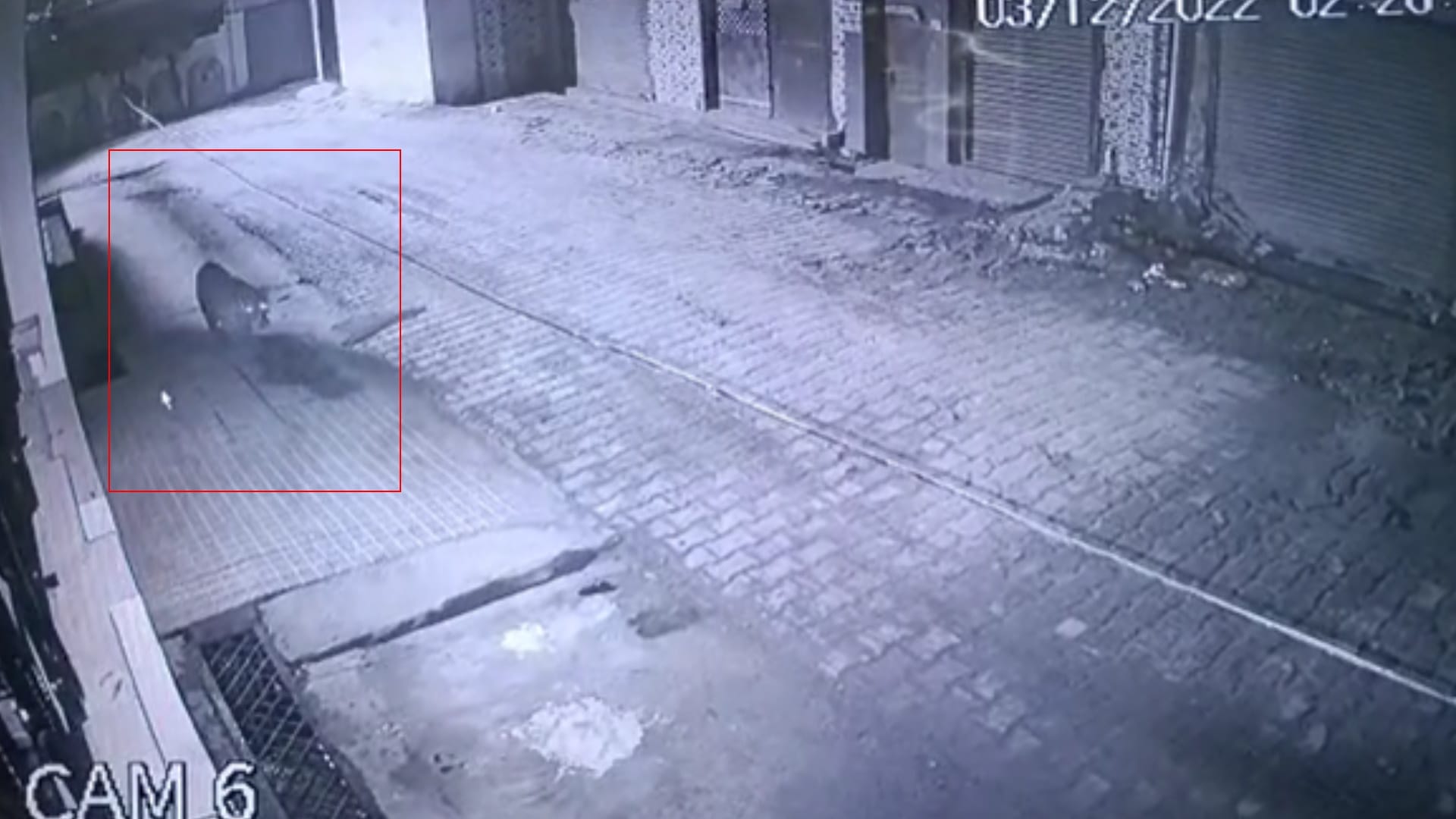 In Meerut landlord was checking  CCTV after waking up  suddenly he saw a leopard