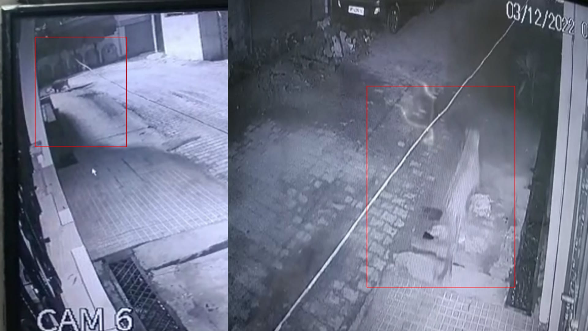 In Meerut landlord was checking  CCTV after waking up  suddenly he saw a leopard