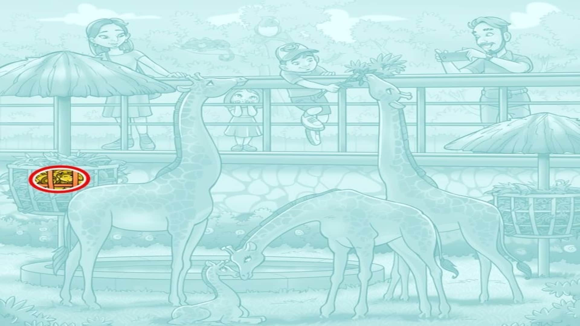 Optical illusion: Spot the hidden Monkey in Images in 10 seconds test your brain iq