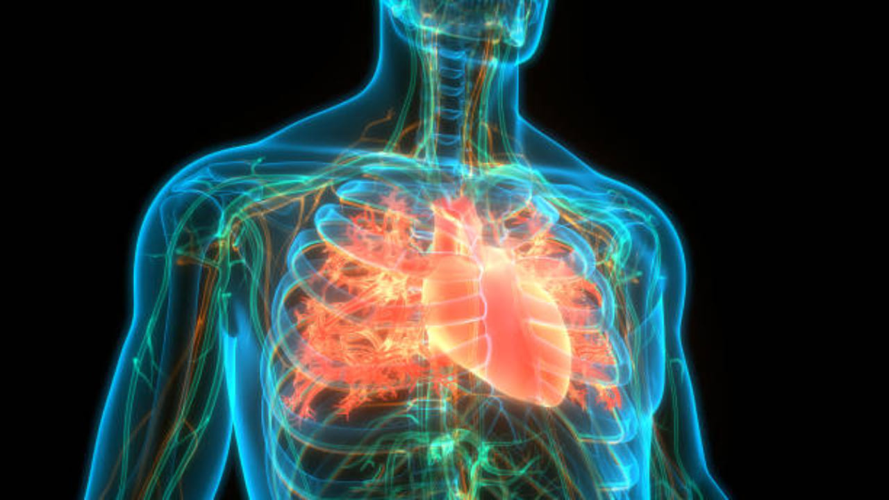 Artificial Intelligence Predicts Future Heart Disease Stroke alert 10 years before stroke