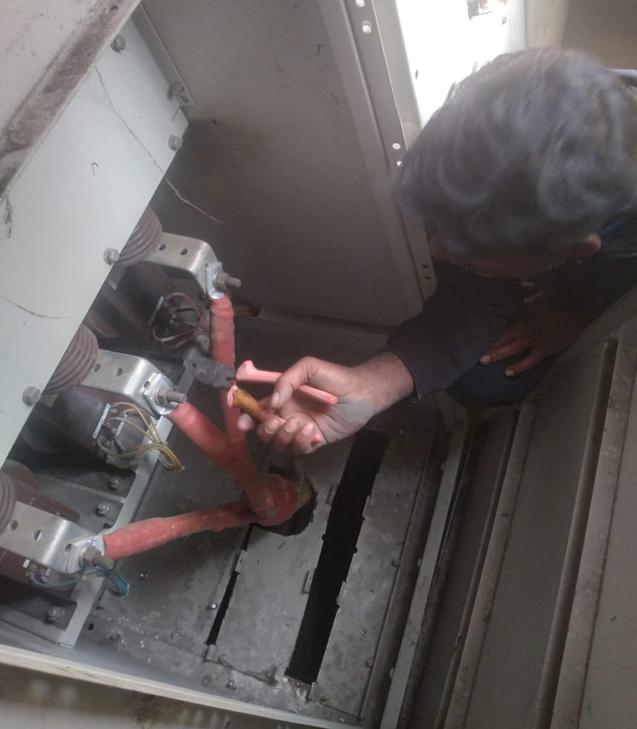 Lizard stopped the electricity of two and a half thousand houses in the city